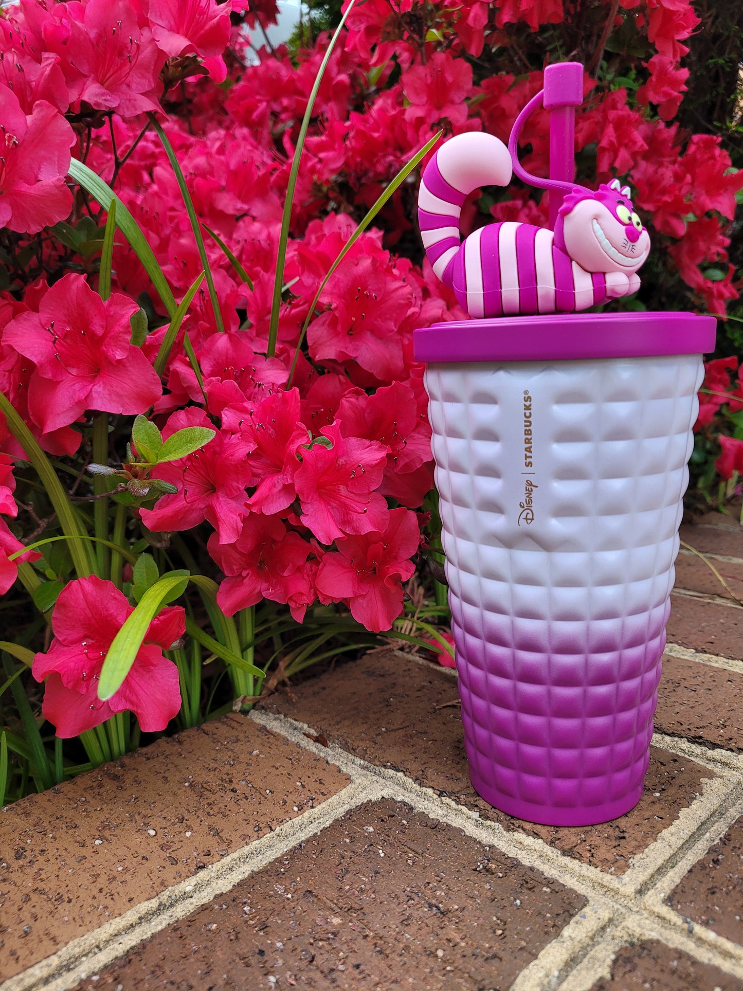 Starbucks China Disney Cheshire Cat Cup - Authentic - Preorder